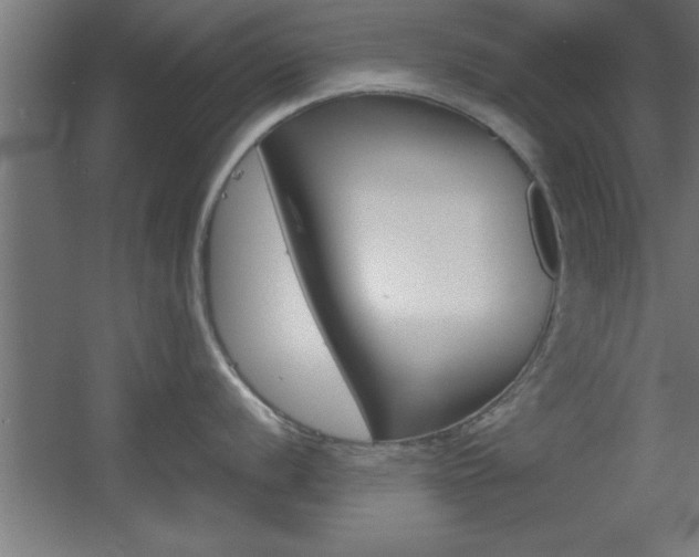 X0000060551056200511030847