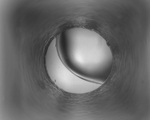 X0000060551057200511030846