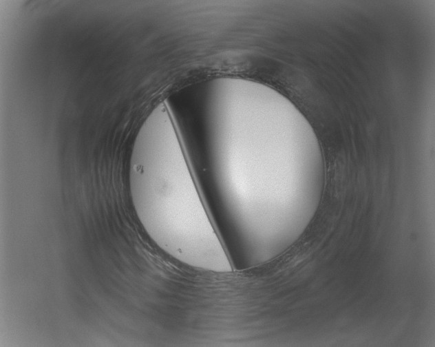 X0000060551058200511030846