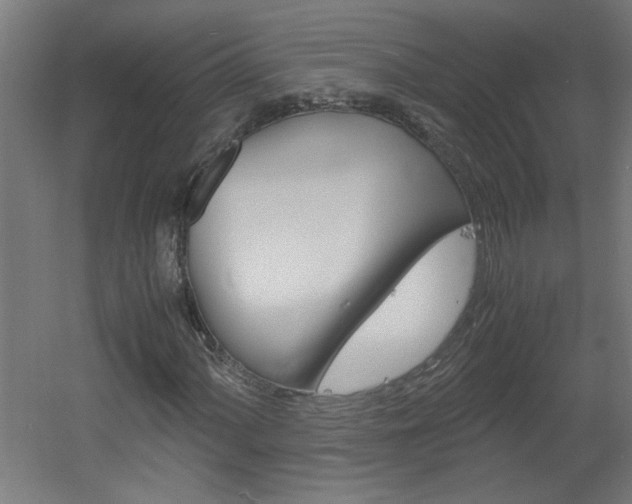 X0000060551060200511030846