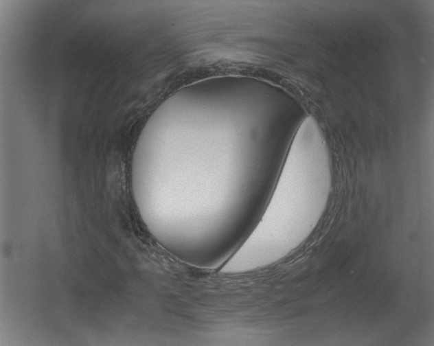 X0000060551061200511030846