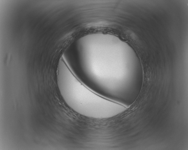 X0000060551062200511030846