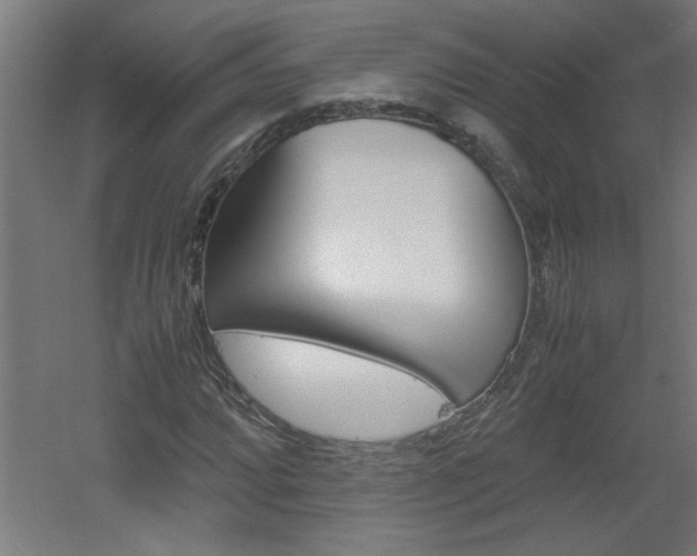X0000060551064200511030846