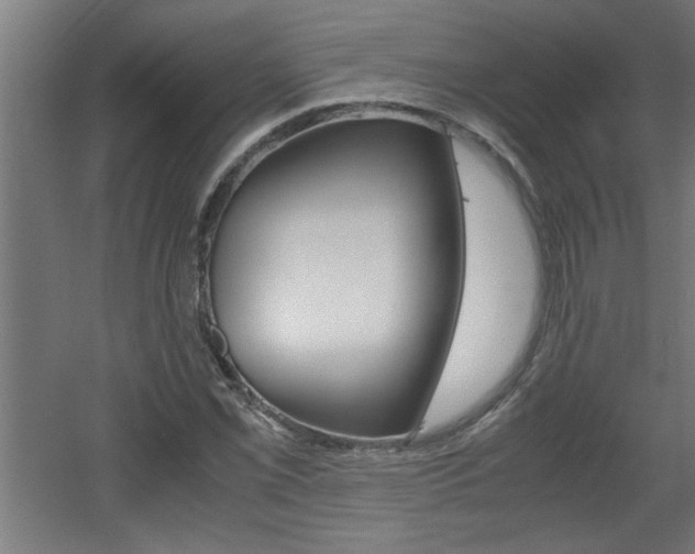 X0000060551069200511030846