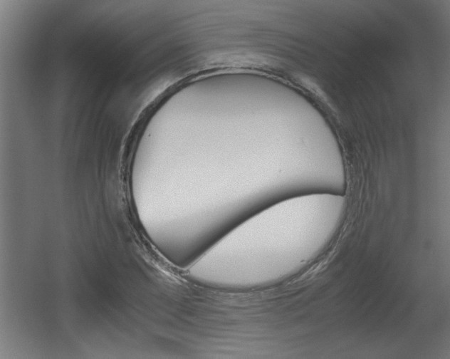 X0000060551071200511030846