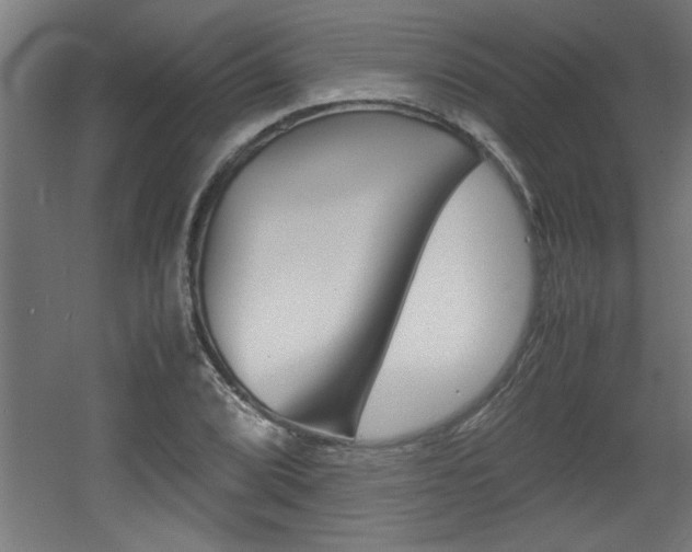 X0000060551072200511030846