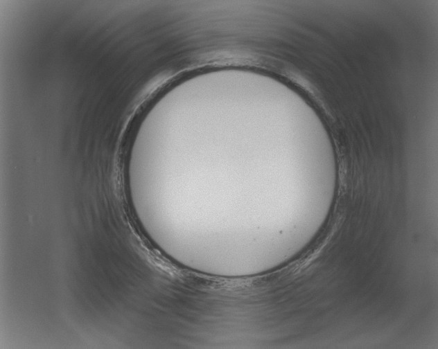 X0000060551074200511030846
