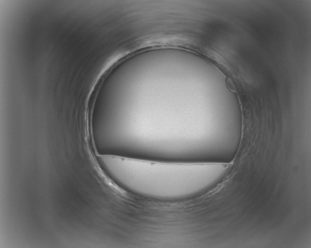 X0000060551079200511030845