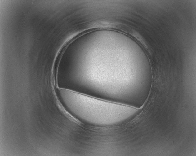 X0000060551080200511030845