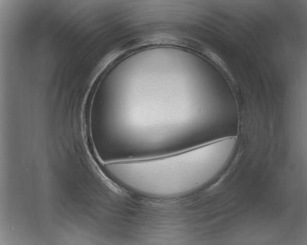 X0000060551082200511030845