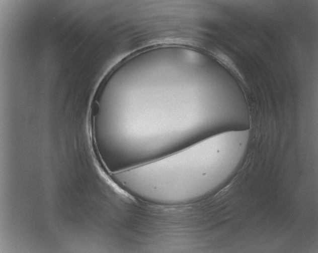 X0000060551084200511030845