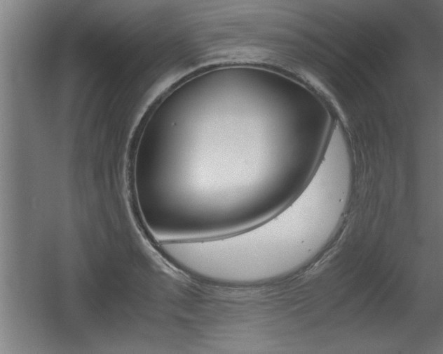 X0000060551085200511030845