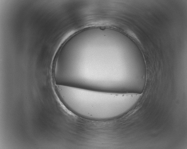 X0000060551087200511030845