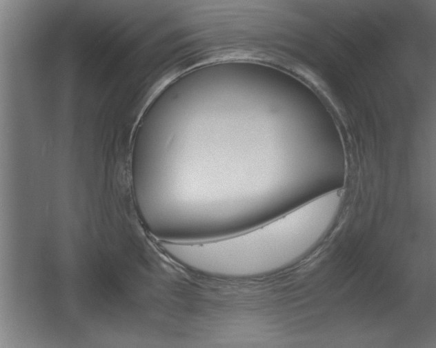 X0000060551097200511030845