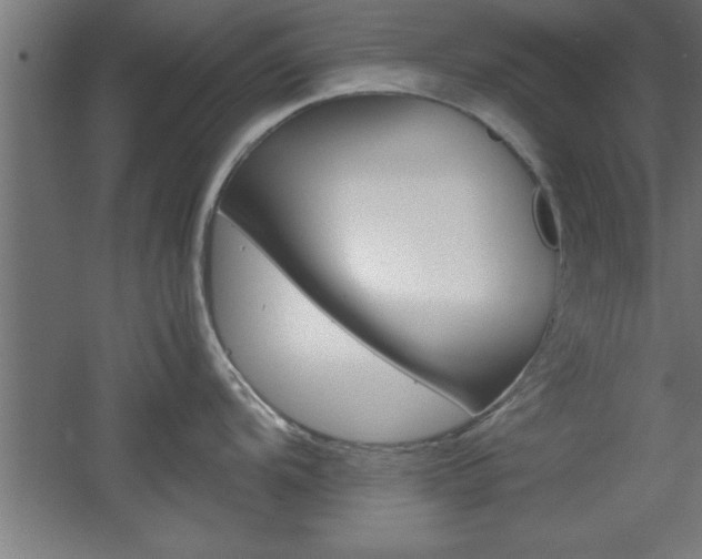 X0000060551104200511030845
