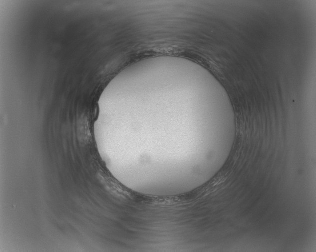 X0000060551106200511030844