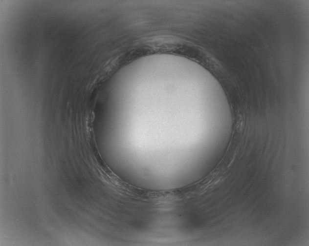 X0000060551108200511030844