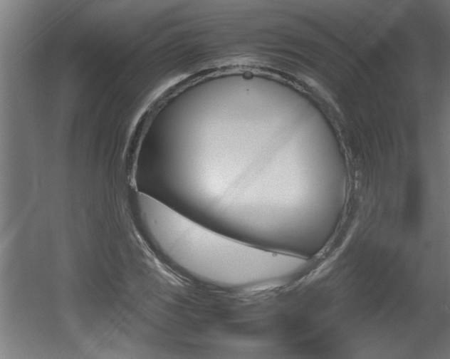 X0000060551117200511030844