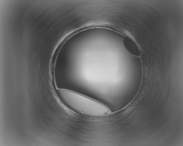 X0000060551124200511030845