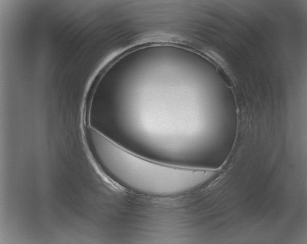 X0000060551128200511030845
