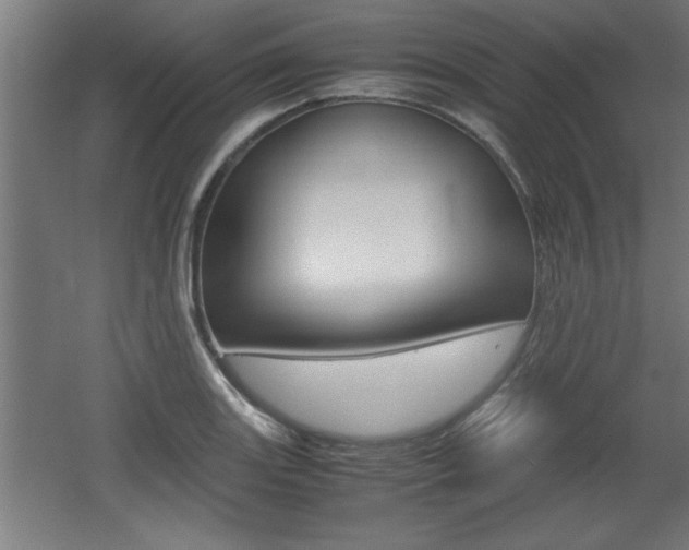 X0000060551131200511030845