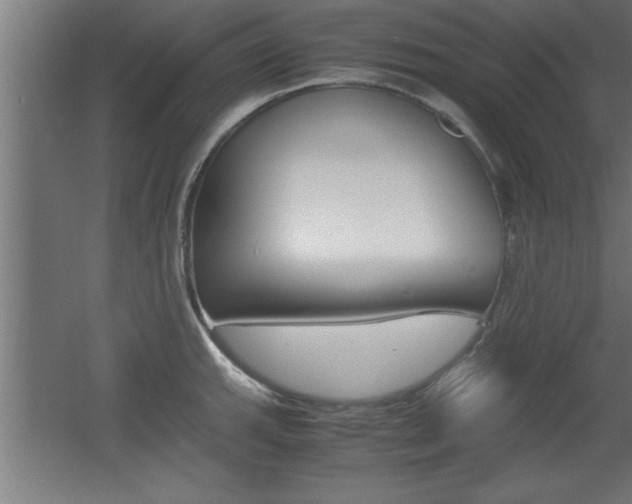 X0000060551143200511030845
