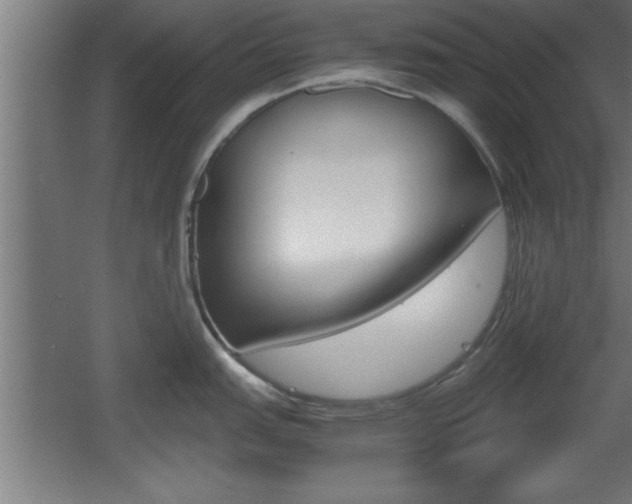 X0000060551151200511030845