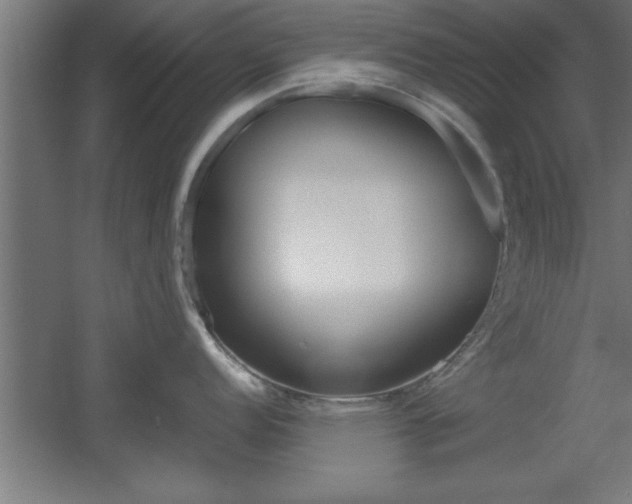 X0000060551152200511030845