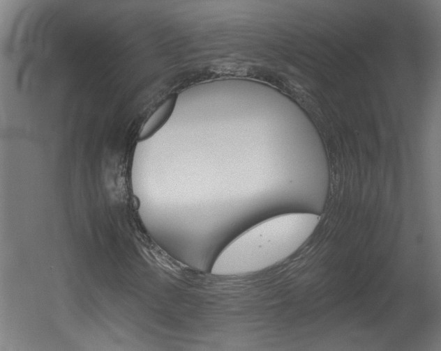 X0000060551154200511030844