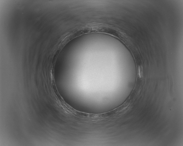 X0000060551155200511030844