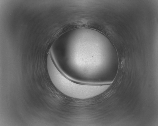 X0000060551156200511030844