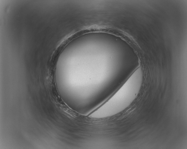 X0000060551160200511030844