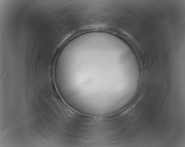X0000060551162200511030844