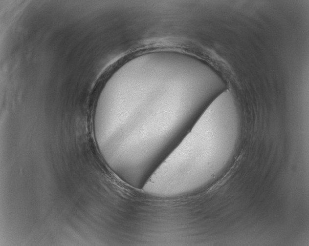 X0000060551166200511030844
