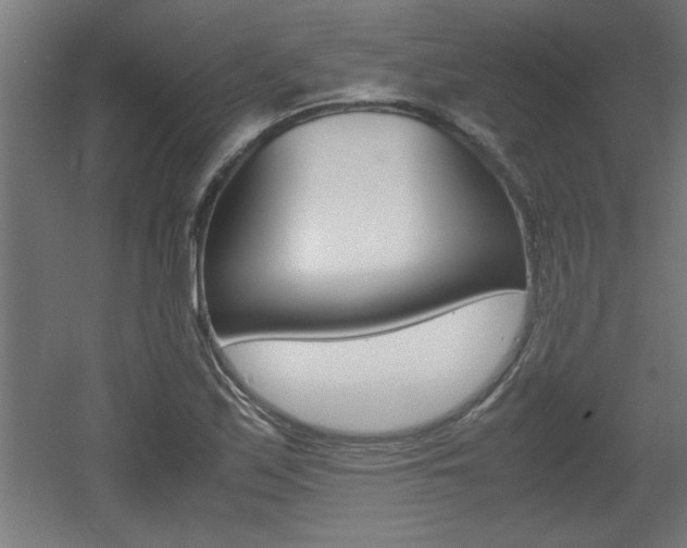 X0000060551171200511030844
