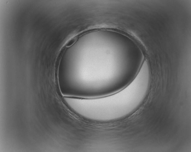 X0000060551173200511030844