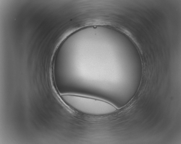 X0000060551187200511030844