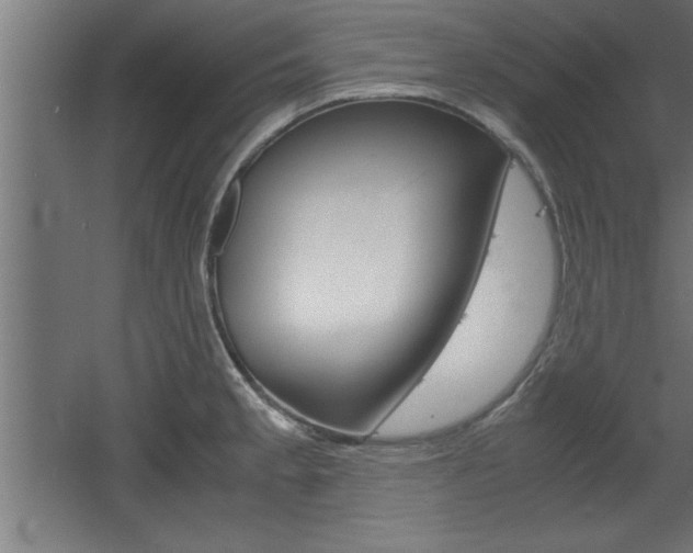 X0000060551189200511030844
