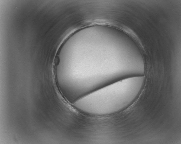 X0000060551190200511030844