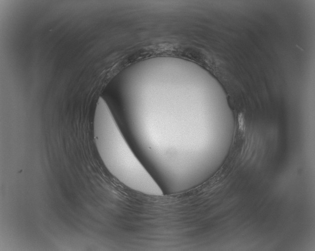 X0000060551203200511030843