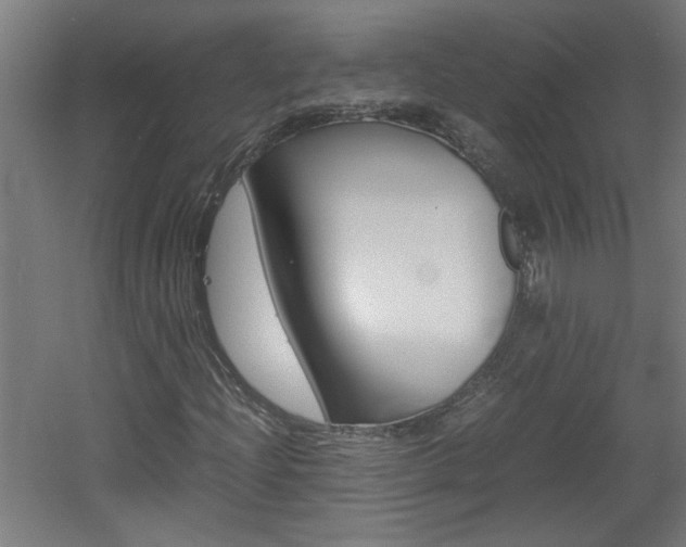 X0000060551204200511030843