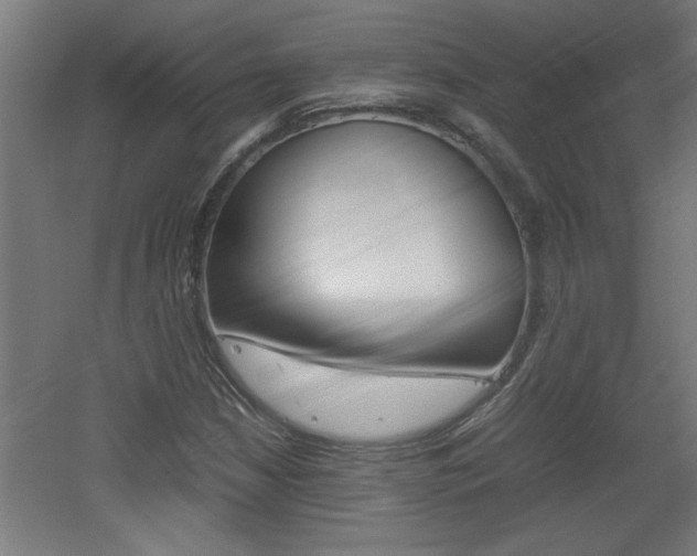X0000060551210200511030843