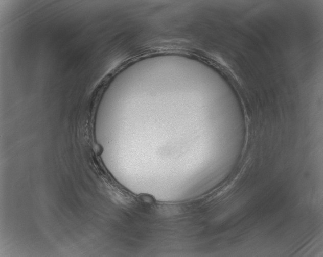X0000060551211200511030843