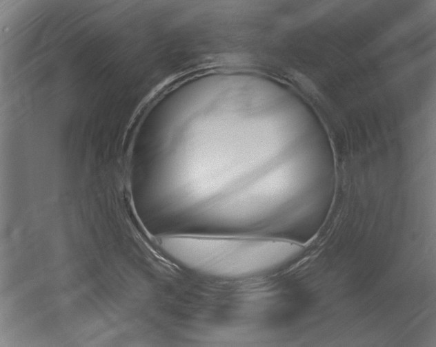 X0000060551212200511030843