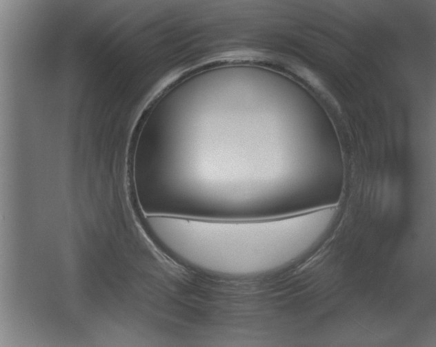 X0000060551229200511030843