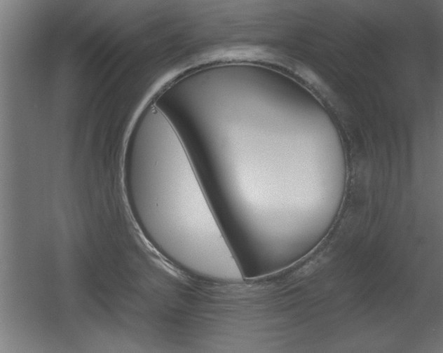 X0000060551232200511030843