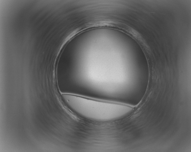 X0000060551234200511030843