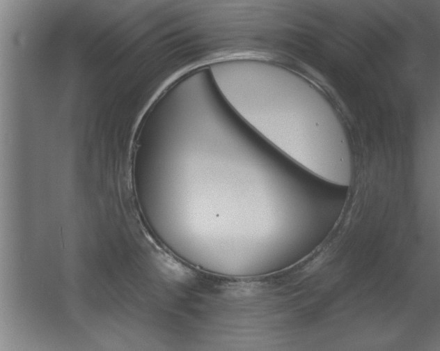 X0000060551236200511030843