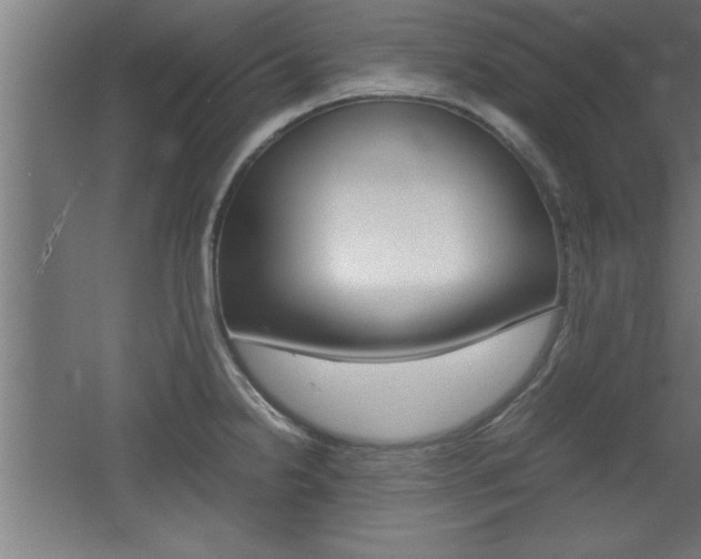 X0000060551238200511030843