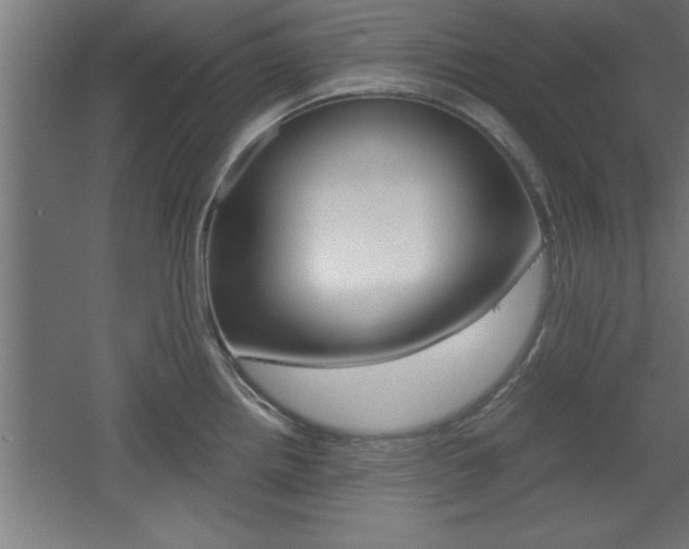 X0000060551242200511030843